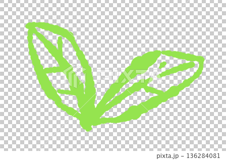 ミントのイラスト。おしゃれな手描きのミント線画素材 136284081