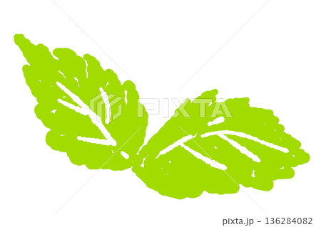 ミントのイラスト。おしゃれな手描きのミント線画素材 136284082