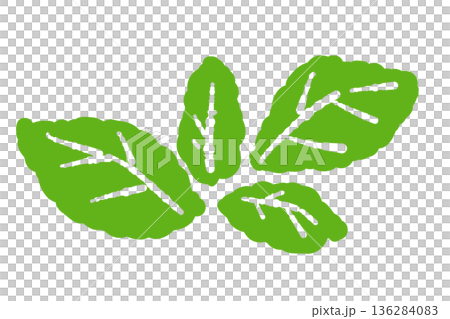 Mint illustration. Stylish hand-drawn mint line drawing material 136284083