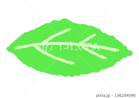 ミントのイラスト。おしゃれな手描きのミント線画素材 ミントのイラスト。おしゃれな手描きのミント線画素材 136284090