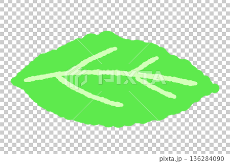ミントのイラスト。おしゃれな手描きのミント線画素材 ミントのイラスト。おしゃれな手描きのミント線画素材 136284090
