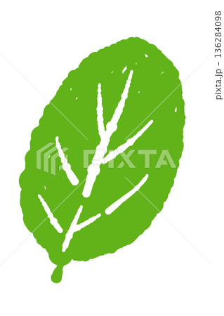 ミントのイラスト。おしゃれな手描きのミント線画素材 ミントのイラスト。おしゃれな手描きのミント線画素材 136284098