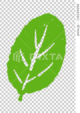 ミントのイラスト。おしゃれな手描きのミント線画素材 ミントのイラスト。おしゃれな手描きのミント線画素材 136284098