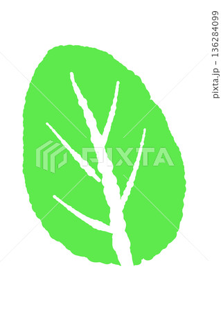 ミントのイラスト。おしゃれな手描きのミント線画素材 136284099