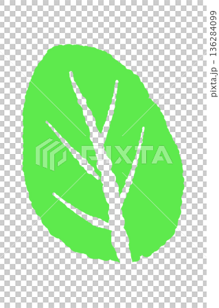 ミントのイラスト。おしゃれな手描きのミント線画素材 136284099