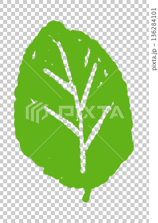 薄荷插圖。時尚的手繪薄荷線條畫素材。 136284101