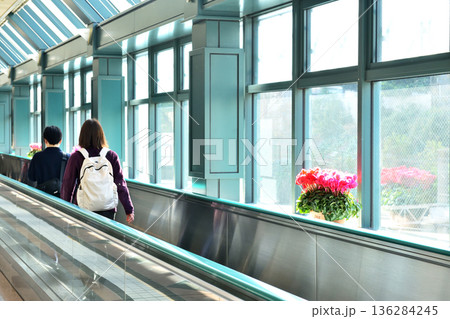 窓辺に赤いシクラメンの置かれた 136284245