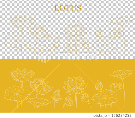 Lotus flower line drawing vector illustration Lotus flower line drawing vector illustration 136284252