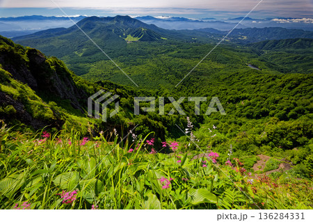 シモツケソウ咲く戸隠山稜線から見る飯縄山 136284331