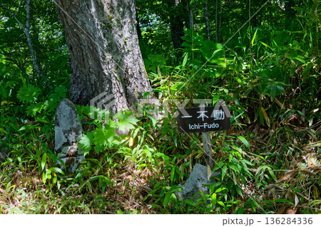 戸隠山から高妻山への登山道脇の一不動の祠 戸隠山から高妻山への登山道脇の一不動の祠 136284336