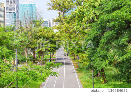 緑が多い都会の公園 136284621