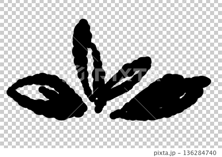 発芽したばかりの小さなミントのイラスト。手描きのおしゃれな新芽の線画素材。 136284740