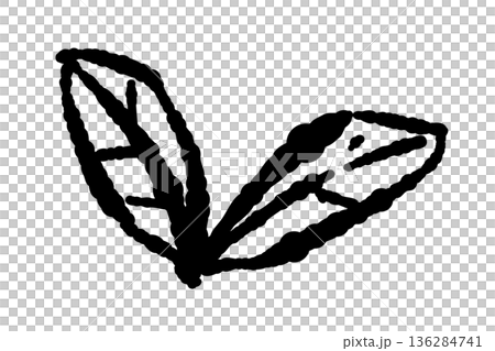 葉脈まで繊細に描かれたミントの葉のイラスト。ボタニカルアート風のおしゃれなドローイング素材。 136284741