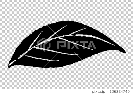 風に揺れるような動きのあるミントの葉のイラスト。自然な形状を描いたボタニカル素材。 風に揺れるような動きのあるミントの葉のイラスト。自然な形状を描いたボタニカル素材。 136284749