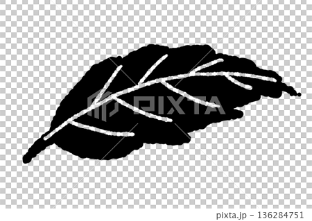 大きく開いたミントの葉のイラスト。存在感のある一枚葉のボタニカル線画素材。 大きく開いたミントの葉のイラスト。存在感のある一枚葉のボタニカル線画素材。 136284751