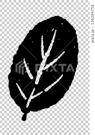 A mint illustration with realistic leaf vein texture. High-quality herb material with beautiful detailed depiction. 136284758