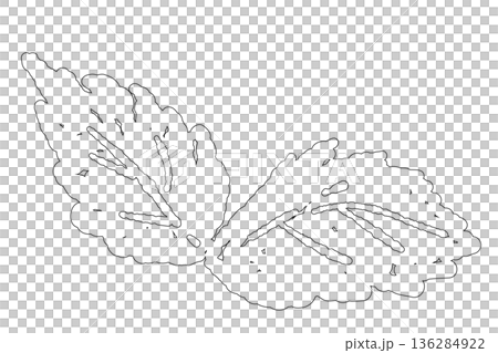 房状に茂るフレッシュなミントのイラスト。明るい黄緑色が爽やかな手描きのハーブ素材。 136284922