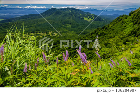 クガイソウ咲く戸隠・高妻山稜線から見る飯縄山 136284987