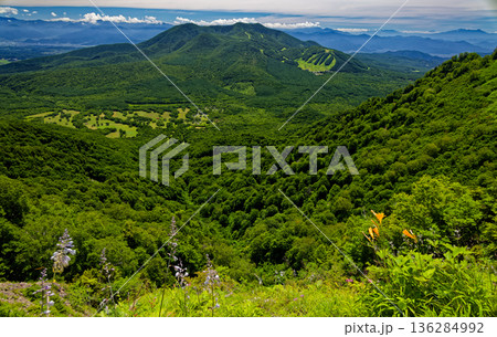 高山植物咲く戸隠山・高妻山への登山道から見る飯縄山 136284992