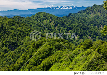 戸隠山・高妻山間の登山道から見る雲湧く北アルプスの山並み 136284993