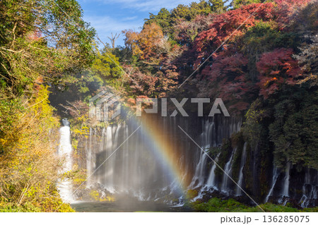 静岡県富士宮市上井出 世界遺産構成資産の白糸の滝に虹と紅葉モミジが映える景色 静岡県富士宮市上井出 世界遺産構成資産の白糸の滝に虹と紅葉モミジが映える景色 136285075