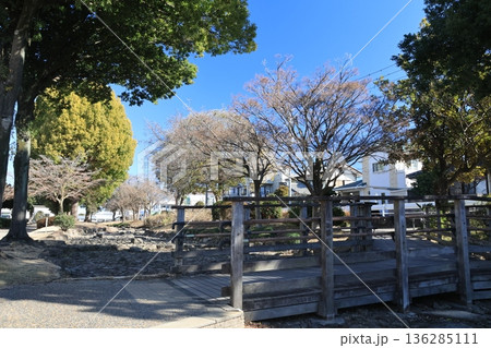 東大宮親水公園の風景 136285111