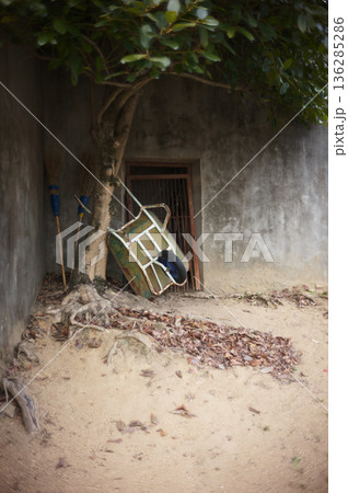 廃墟の荒れた建物 廃墟の荒れた建物 136285286