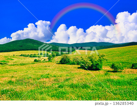 ハンガリーの美しい田園風景 ハンガリーの美しい田園風景 136285340