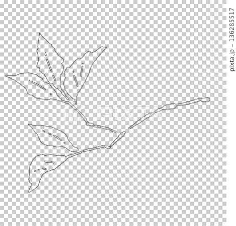 春のデザインに使いやすい緩やかなカーブを描く新緑の枝 136285517