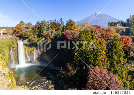 静岡県富士宮市上井出 世界遺産の富士山を背景に紅葉モミジが鮮やかな音止の滝の景色 静岡県富士宮市上井出 世界遺産の富士山を背景に紅葉モミジが鮮やかな音止の滝の景色 136285828