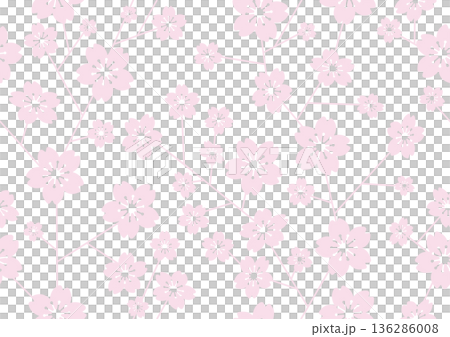 垂直和水平方向的無縫櫻花圖案插圖 垂直和水平方向的無縫櫻花圖案插圖 136286008