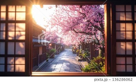 京町家の格子窓から覗く祇園の街並みと桜 136286062