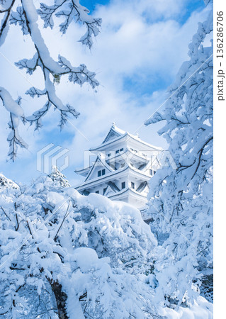 郡上八幡城（冬） 136286706