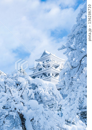 郡上八幡城（冬） 136286710