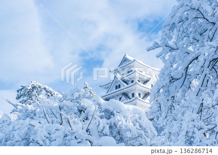 郡上八幡城（冬） 136286714