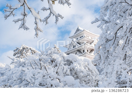 郡上八幡城（冬） 136286723