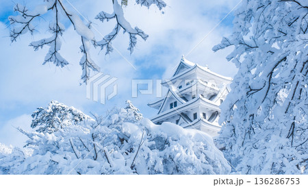 郡上八幡城（冬） 136286753