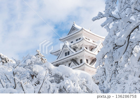 郡上八幡城（冬） 136286758