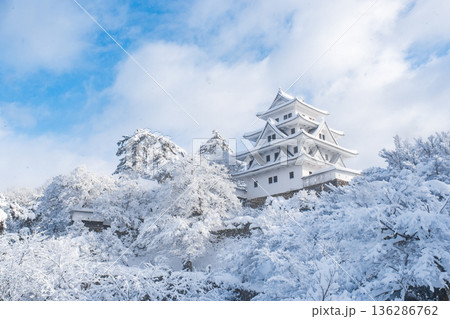 郡上八幡城（冬） 136286762