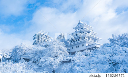 郡上八幡城（冬） 136286771