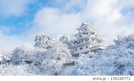 郡上八幡城(冬) 郡上八幡城(冬) 136286772
