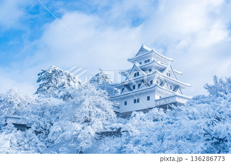 郡上八幡城（冬） 136286773