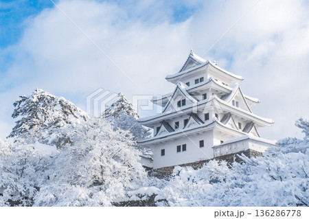 郡上八幡城（冬） 136286778