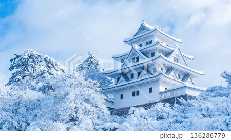 郡上八幡城（冬） 136286779