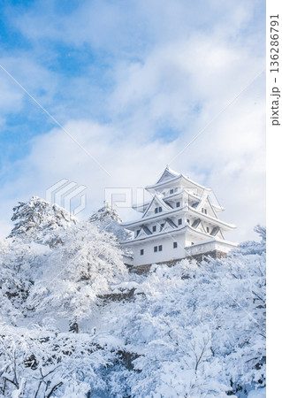 郡上八幡城（冬） 136286791