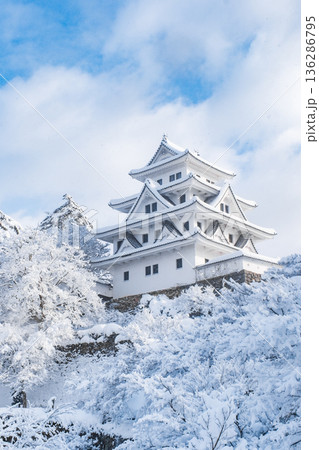 郡上八幡城（冬） 136286795