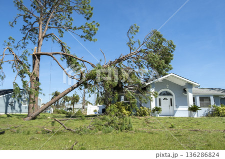 Fallen down big tree on a house roof after hurricane in Florida. Consequences of natural disaster Fallen down big tree on a house roof after hurricane in Florida. Consequences of natural disaster 136286824
