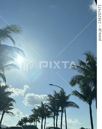 ヤシの木と太陽 ヤシの木と太陽 136287471