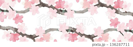 桜のバナー背景イラスト。春のキャンペーン、セール、お花見、卒業、入学、飾りのフレームデザイン素材 136287711