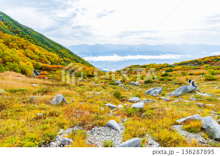秋の中央アルプス　紅葉の千畳敷カール 136287895
